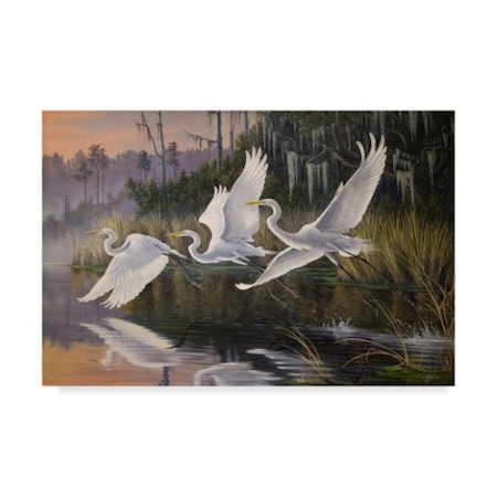 Wilhelm Goebel 'Morning Departure Egrets' Canvas Art,16x24